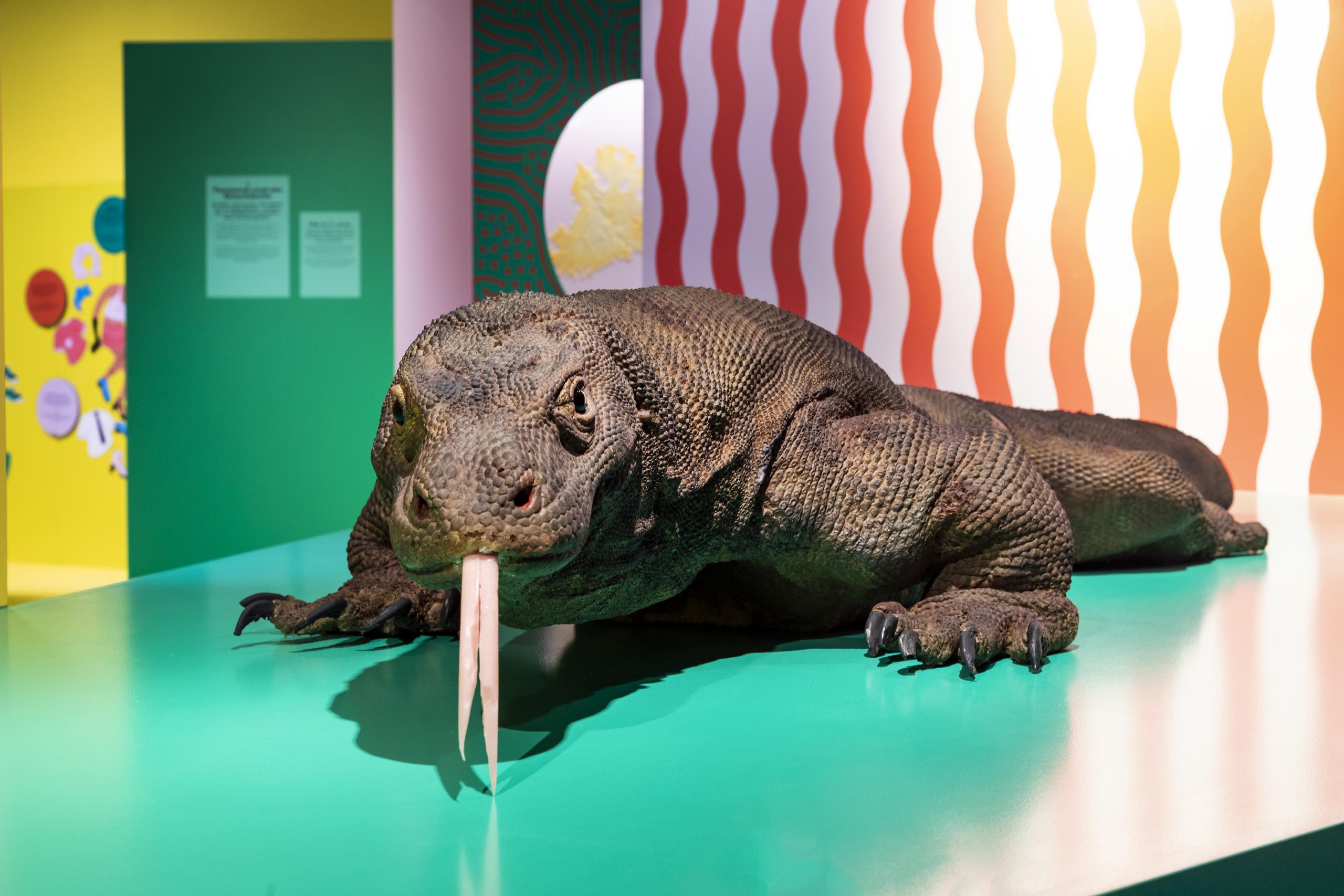Naturhistorisches Museum Bern Ausstellung Queer Vielfalt ist unsere Natur